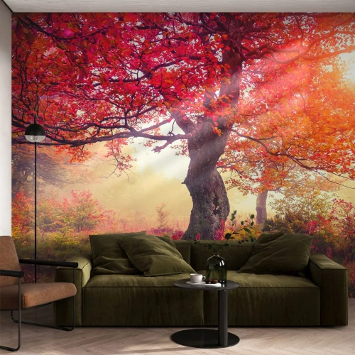 Fototapete Premium Canvas - Blühende Raserei - Landschaft, Park, Blumen - 350x256 cm