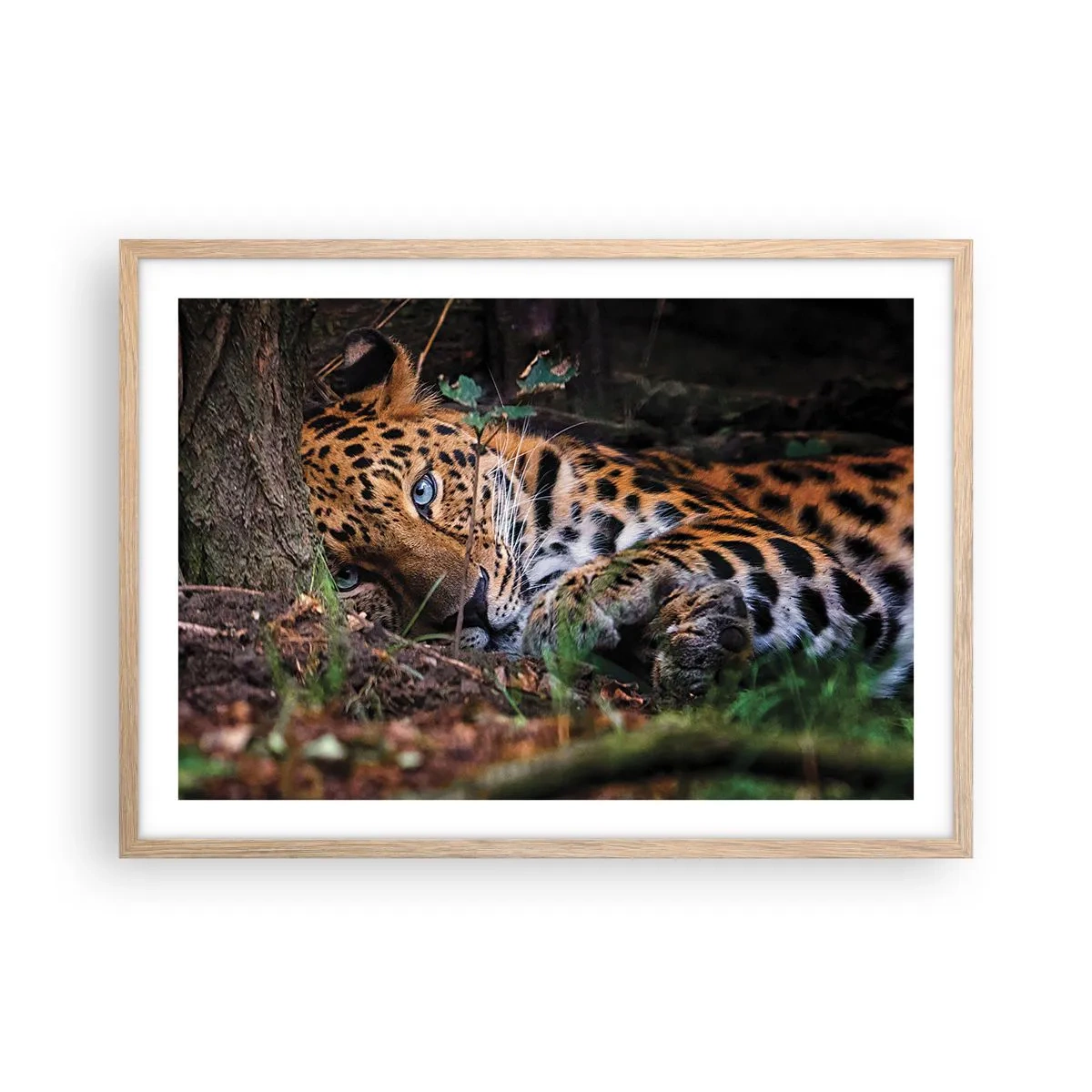 Poster in einem Rahmen aus heller Eiche - Vertrau mir - 70x50 cm