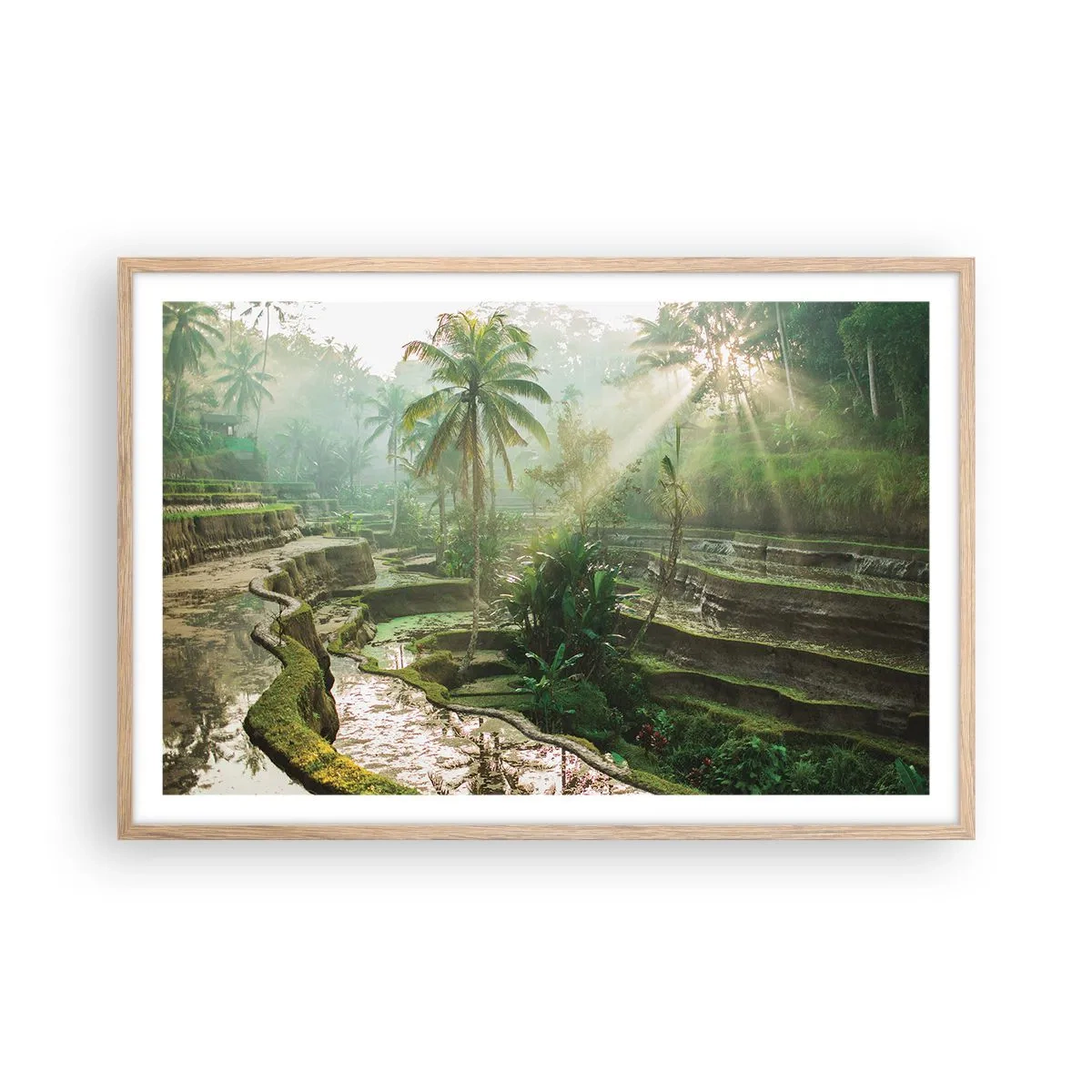 Poster in einem Rahmen aus heller Eiche - In der Sonne aufwachsen - 91x61 cm