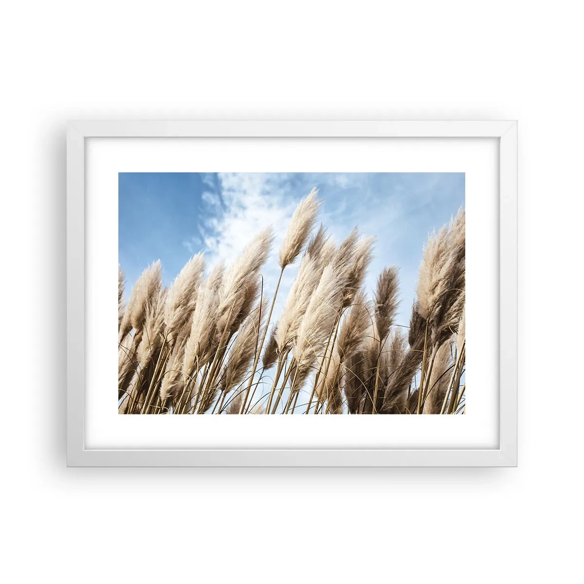 Poster in einem weißen Rahmen - Sonnige und windige Liebkosungen - 40x30 cm