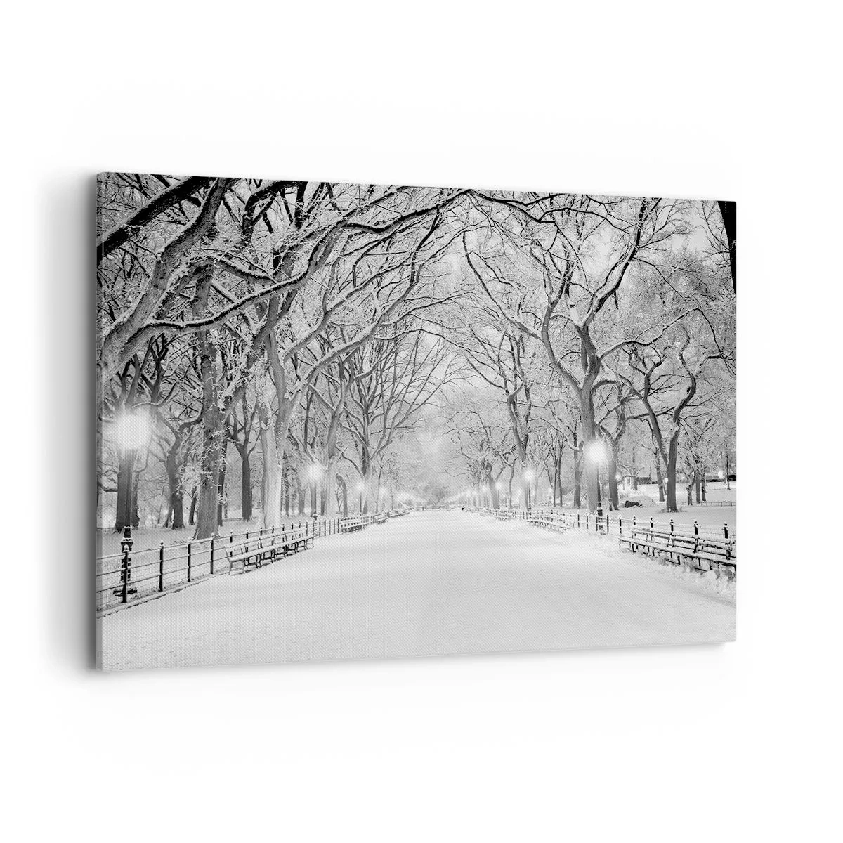 Bild auf Leinwand - Leinwandbild - Eine Winterallee mit schneebedeckten Bäumen in Monochrom - 120x80cm - Vier Jahreszeiten - Winter - Moderne Wanddekoration für Wohnzimmer und Schlafzimmer ARTTOR