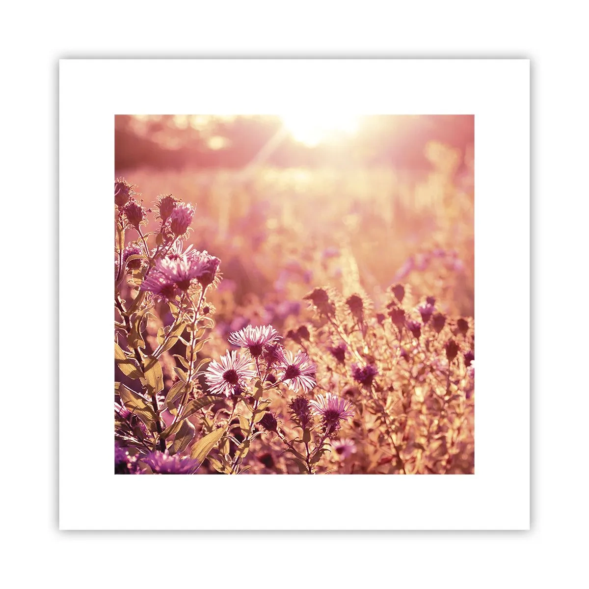 Poster - Bevor der Sommer vorbei ist - 30x30 cm