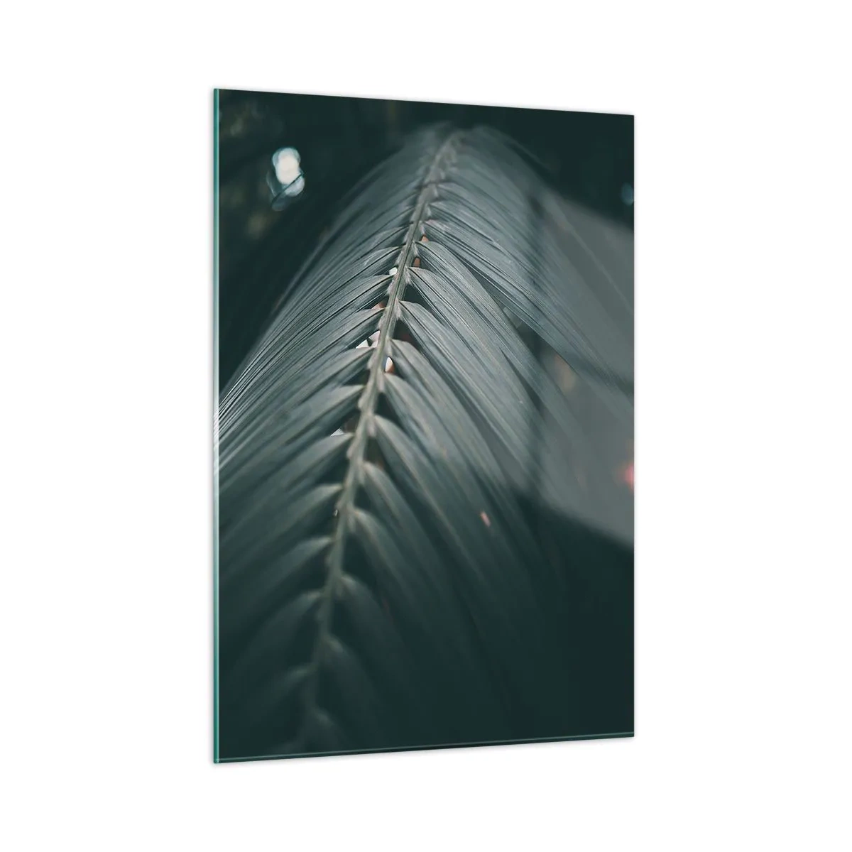 Glasbild - Bild auf glas - Nahaufnahme eines dunkelgrünen Palmblattes mit Lichtreflexion - 50x70cm - Die Präzision der Natur - Moderne Wanddekoration für Wohnzimmer und Schlafzimmer ARTTOR