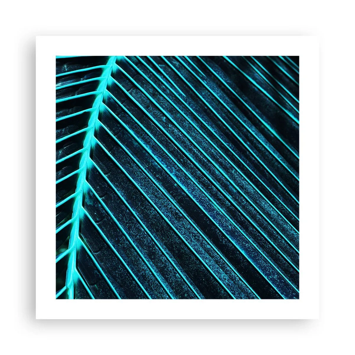 Poster - Grüne Textur - 50x50 cm