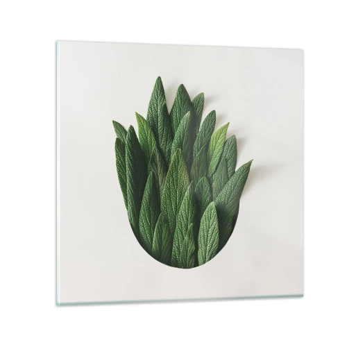 Glasbild - Bild auf glas - Ungebremste Neugier - 30x30 cm