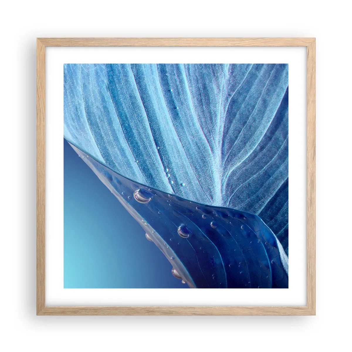 Poster in einem Rahmen aus heller Eiche - Versteckte Tropfen vom Blau - 50x50 cm