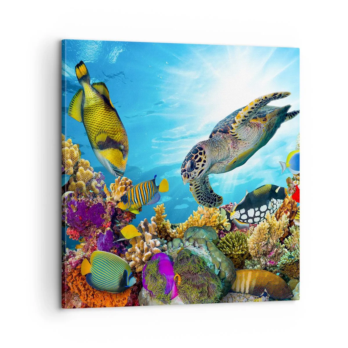 Bild auf Leinwand - Leinwandbild - Korallenpromenade - 60x60 cm