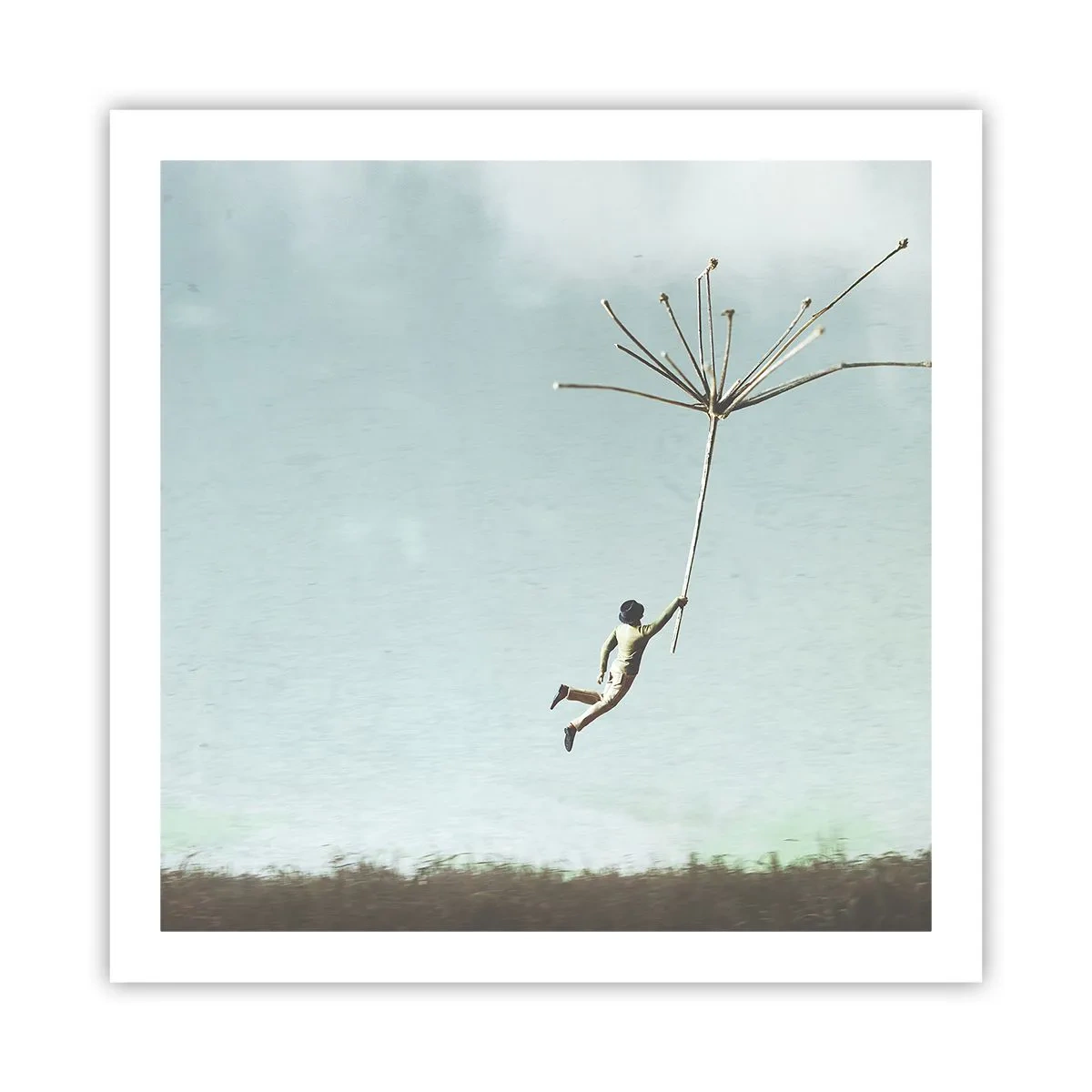 Poster - Drachen, Löwenzahn, Wind - 60x60 cm