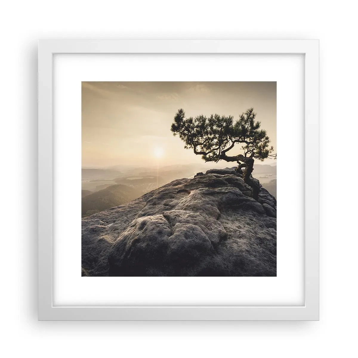 Poster in einem weißen Rahmen - Das Leben gewinnt immer - 30x30 cm