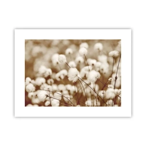 Poster - Flauschiges Kornfeld - 40x30 cm