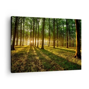 Bild auf Leinwand - Leinwandbild - Die untergehende Sonne im Laubwald - 70x50cm - Alle Frühlingsfotografie - Moderne Wanddekoration für Wohnzimmer und Schlafzimmer ARTTOR