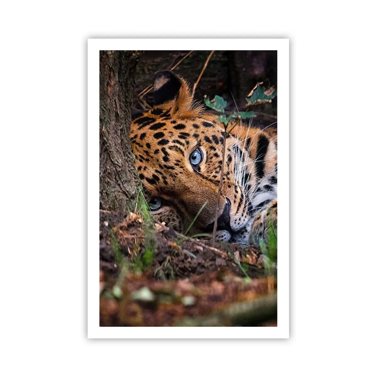 Poster - Vertrau mir - 61x91 cm