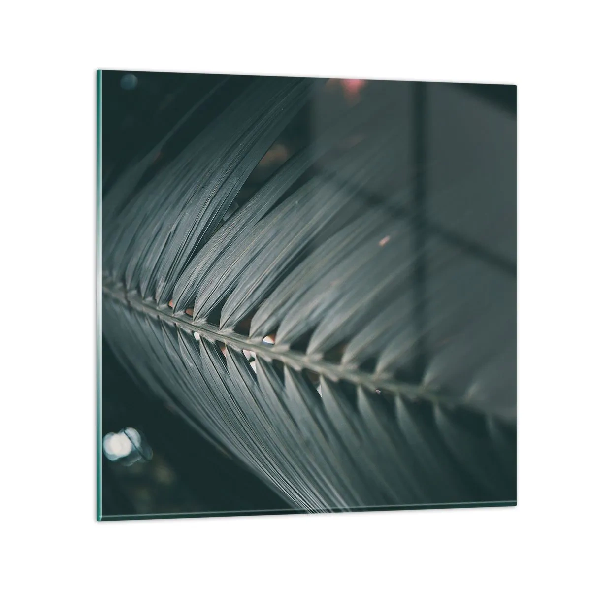 Glasbild - Bild auf glas - Die Präzision der Natur - 50x50 cm