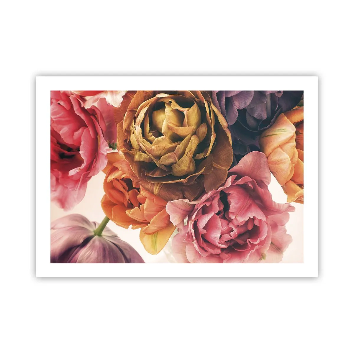 Poster - Eine Feier des Lebens - 70x50 cm