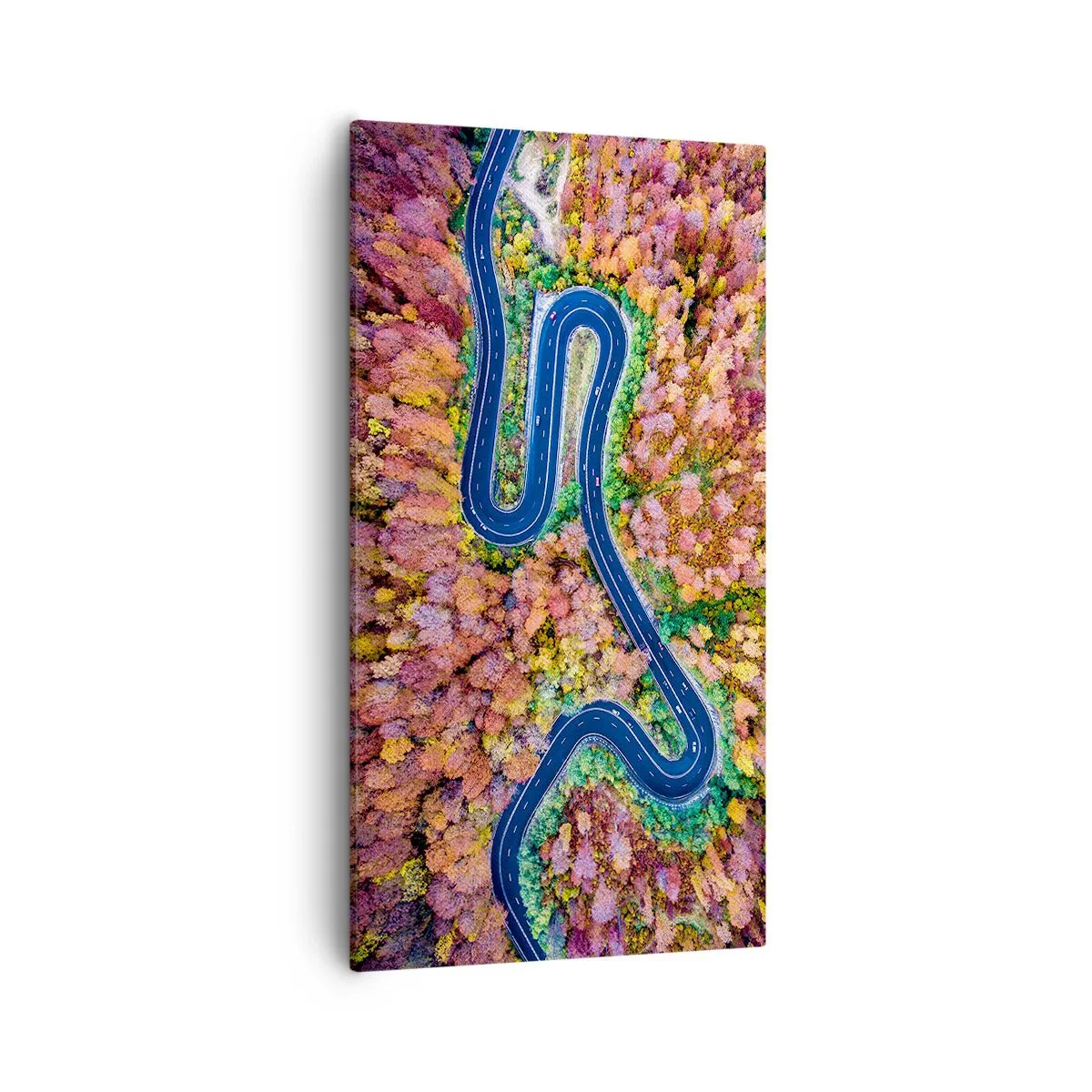 Bild auf Leinwand - Leinwandbild - Kurvenreicher Weg durch den Wald - 55x100 cm