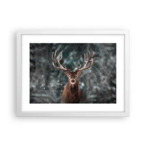 Poster in einem weißen Rahmen - Gekrönter König des Waldes - 40x30 cm
