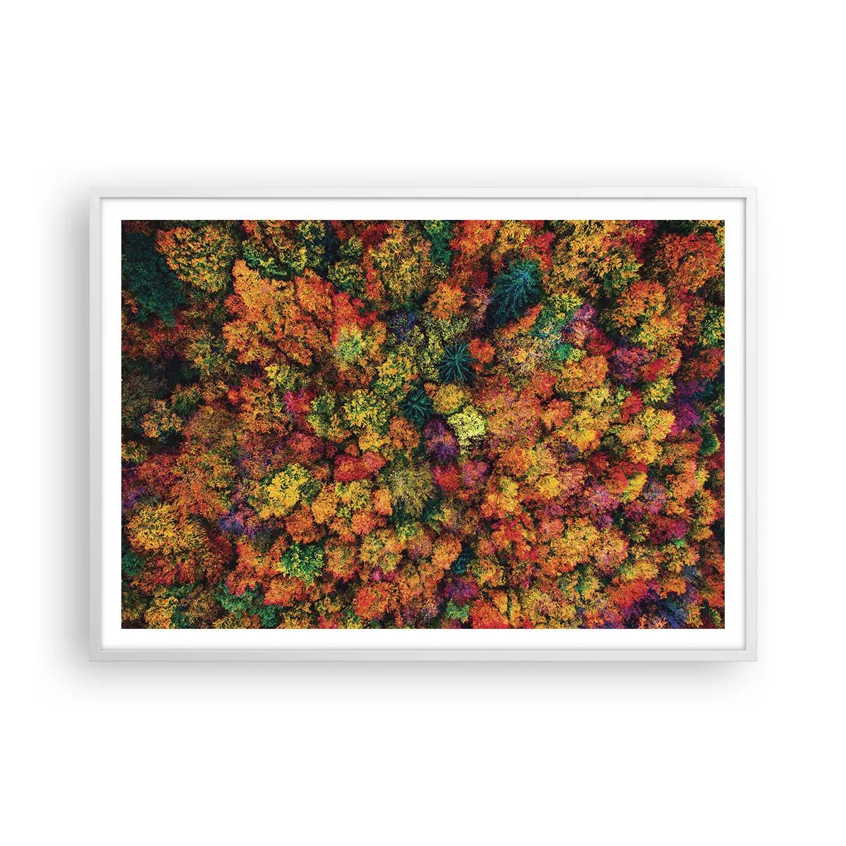 Poster in einem weißen Rahmen - Blumenstrauß aus Herbstbäumen - 100x70 cm