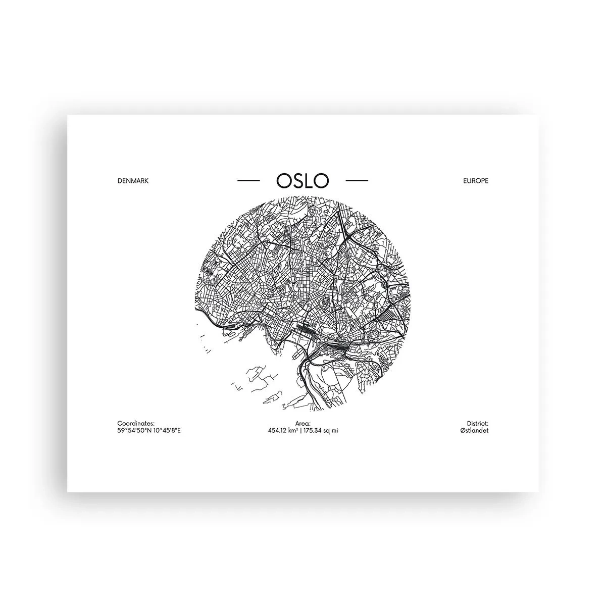 Poster - Anatomie von Oslo - 50x40 cm