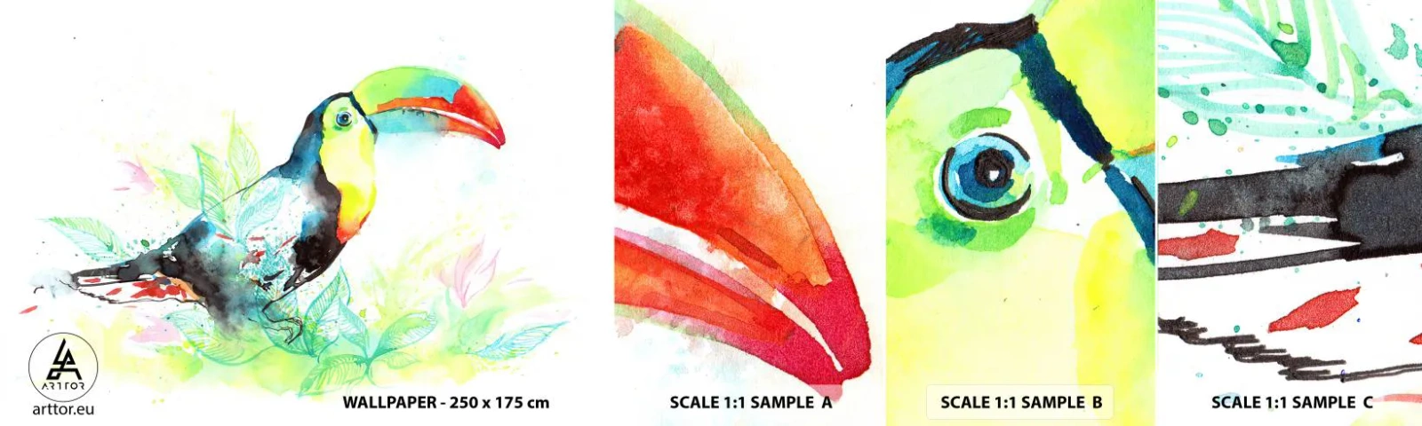 Fototapetenmuster Standard Eco - So bunt wie Südamerika - Vogel, Tukan, Für Kinder - 100x30 cm