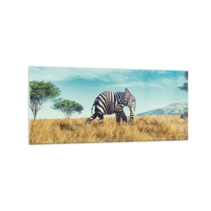 Glasbild - Bild auf glas - Zebra in einer afrikanischen Landschaft - 120x50cm - Grau ist nicht mehr in Mode - Moderne Wanddekoration für Wohnzimmer und Schlafzimmer ARTTOR