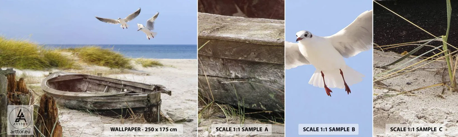 Fototapetenmuster Standard Eco - In Wind gebadet - Landschaft, Strand, Dünen - 100x30 cm