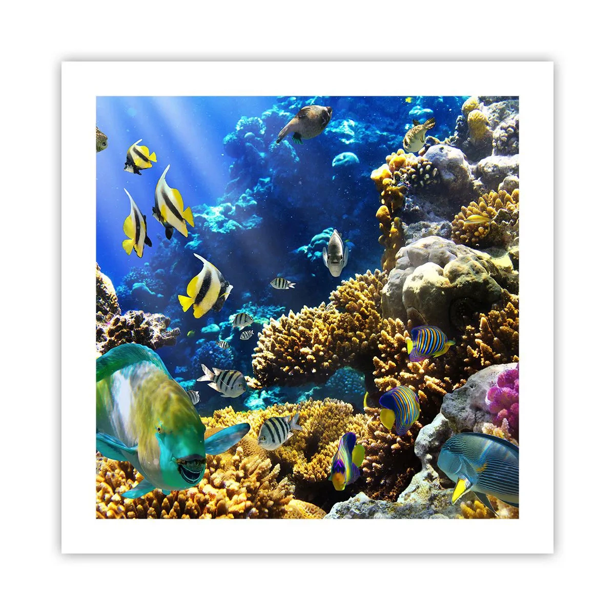 Poster - Viel Verkehr auf dem Ferienweg - 50x50 cm