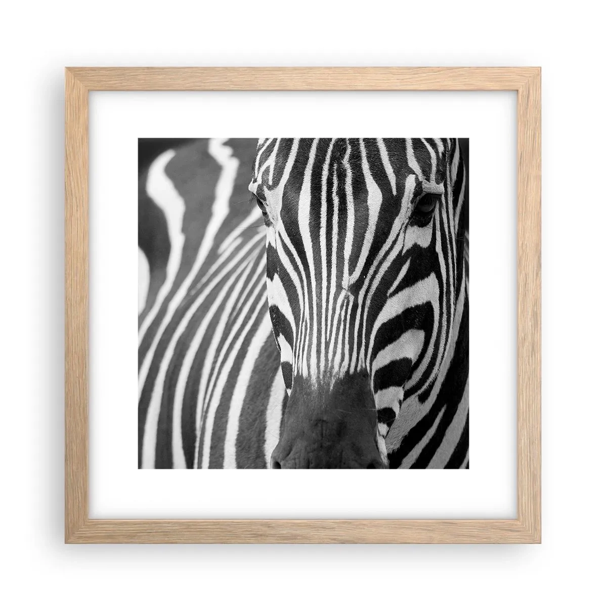 Poster in einem Rahmen aus heller Eiche - Die Welt ist schwarz und weiß - 30x30 cm