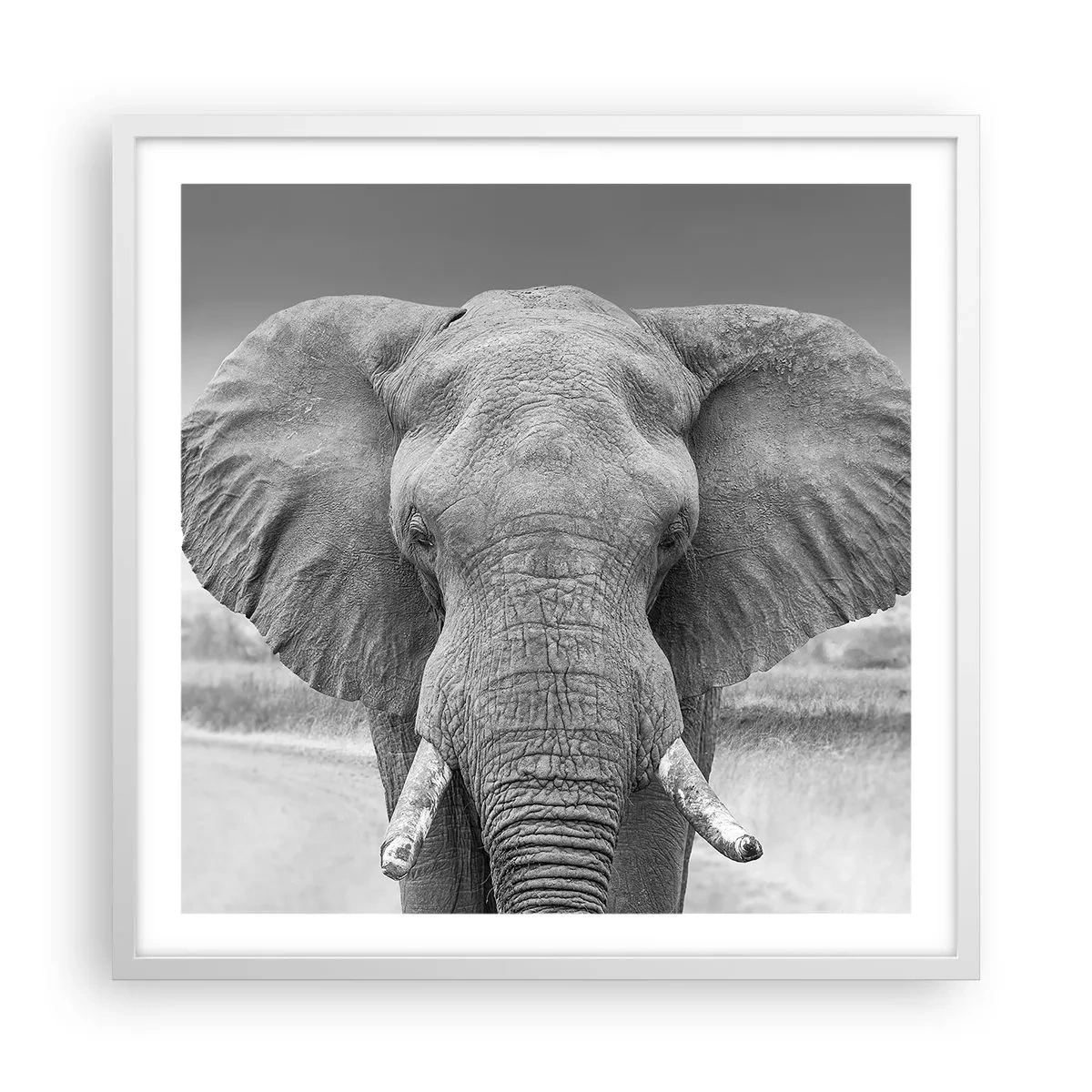 Poster in einem weißen Rahmen - Willkommen in meiner Welt - 60x60 cm