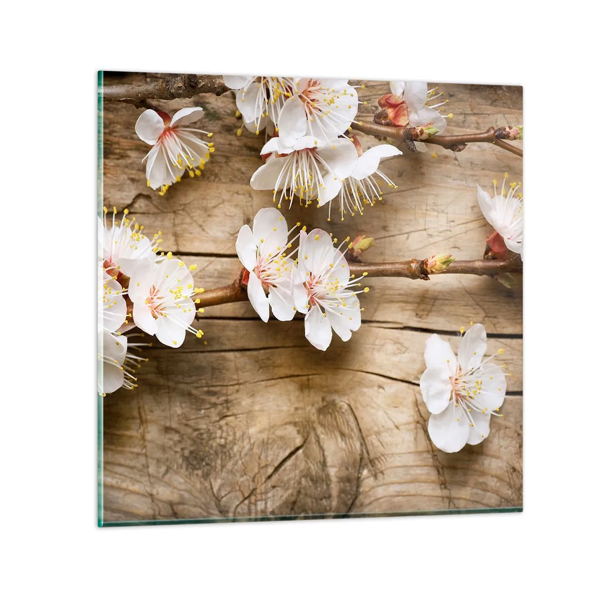 Glasbild - Bild auf glas - Und es war Frühling - 40x40 cm