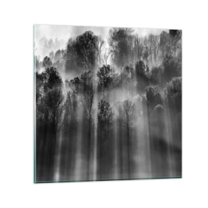 Glasbild - Bild auf glas - In Lichtstrahlen - 40x40 cm