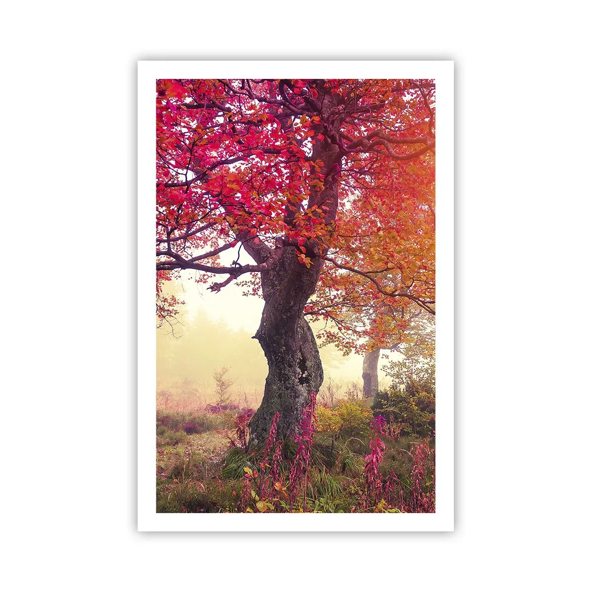 Poster - Blühende Raserei - 61x91 cm