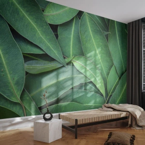 Fototapete Premium Sand - Grüne Blätter in einem tropischen Arrangement - 100x70cm - Saftig und frisch - Moderne Wanddekoration für Wohnzimmer und Schlafzimmer ARTTOR