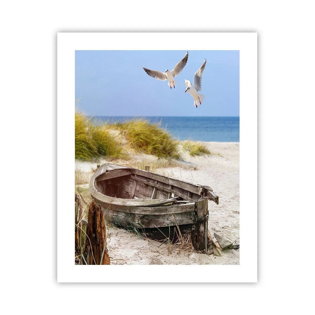 Poster - In Wind gebadet - 40x50 cm