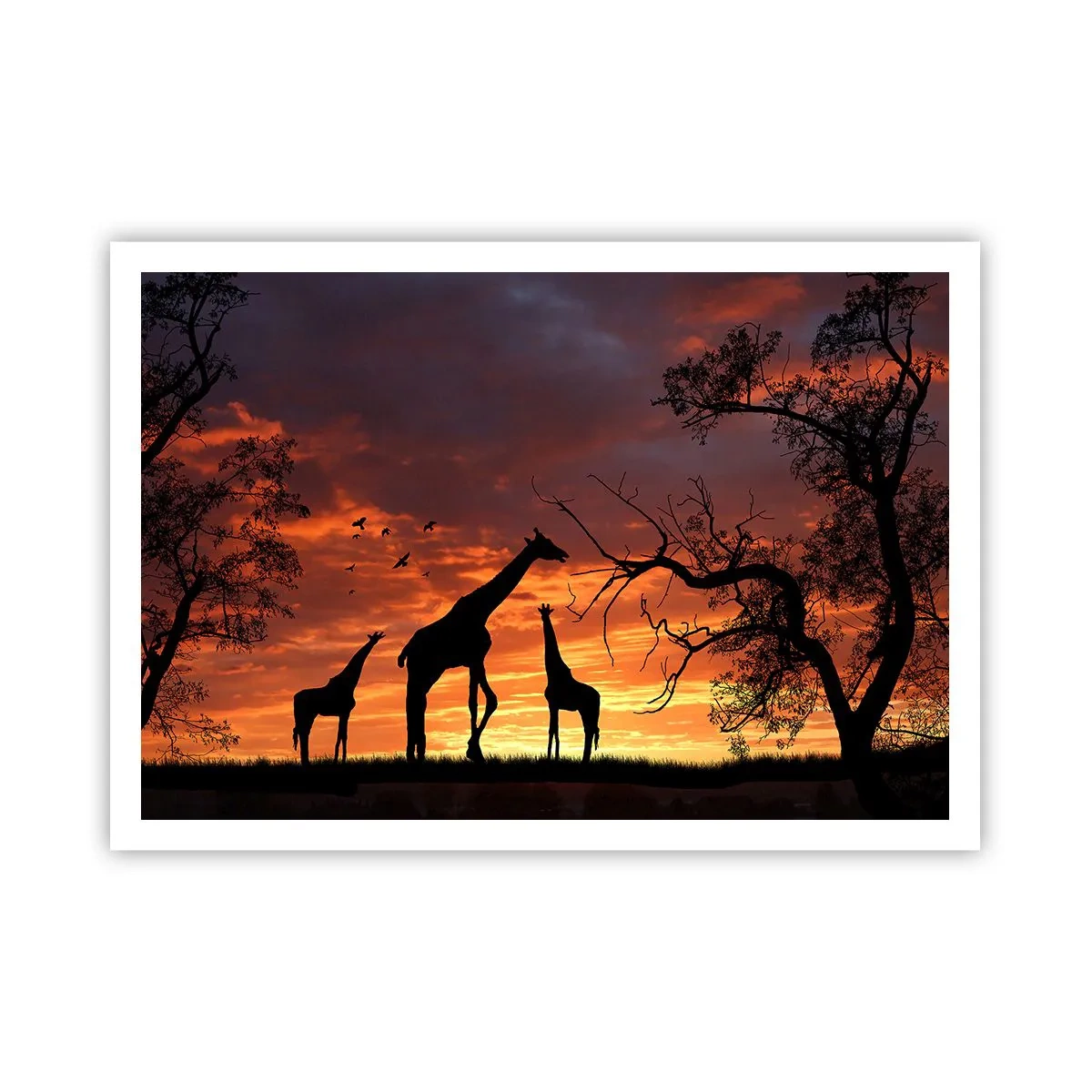 Poster - Silhouetten von Giraffen vor dem Hintergrund des afrikanischen Sonnenuntergangs - 100x70cm - Ein kleines Abendessen mit deinen Liebsten - Moderne Wanddekoration für Wohnzimmer und Schlafzimmer ARTTOR