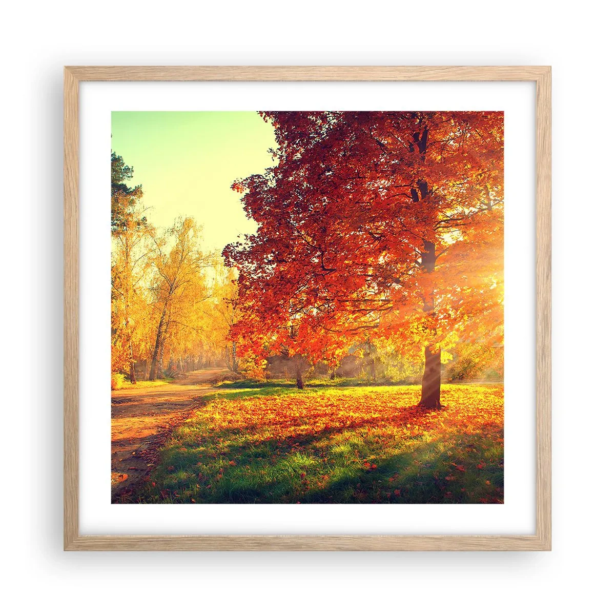 Poster in einem Rahmen aus heller Eiche - Unhöflich ist schön - 50x50 cm