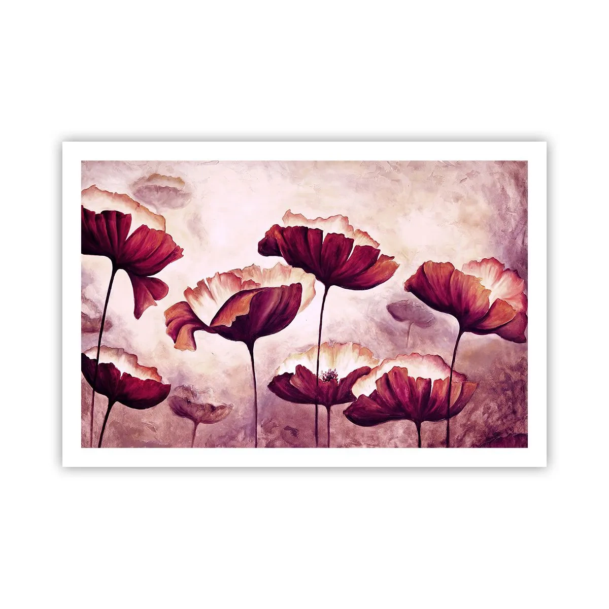 Poster - Rotes und weißes Blütenblatt - 91x61 cm
