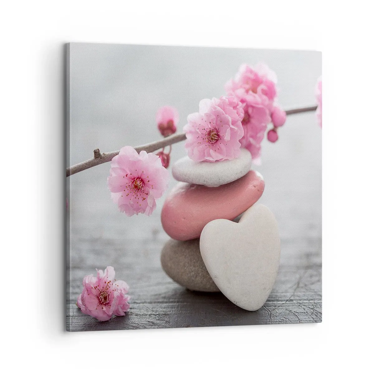 Bild auf Leinwand - Leinwandbild - Glückseligkeit mit einer Kirschblüte - 60x60 cm