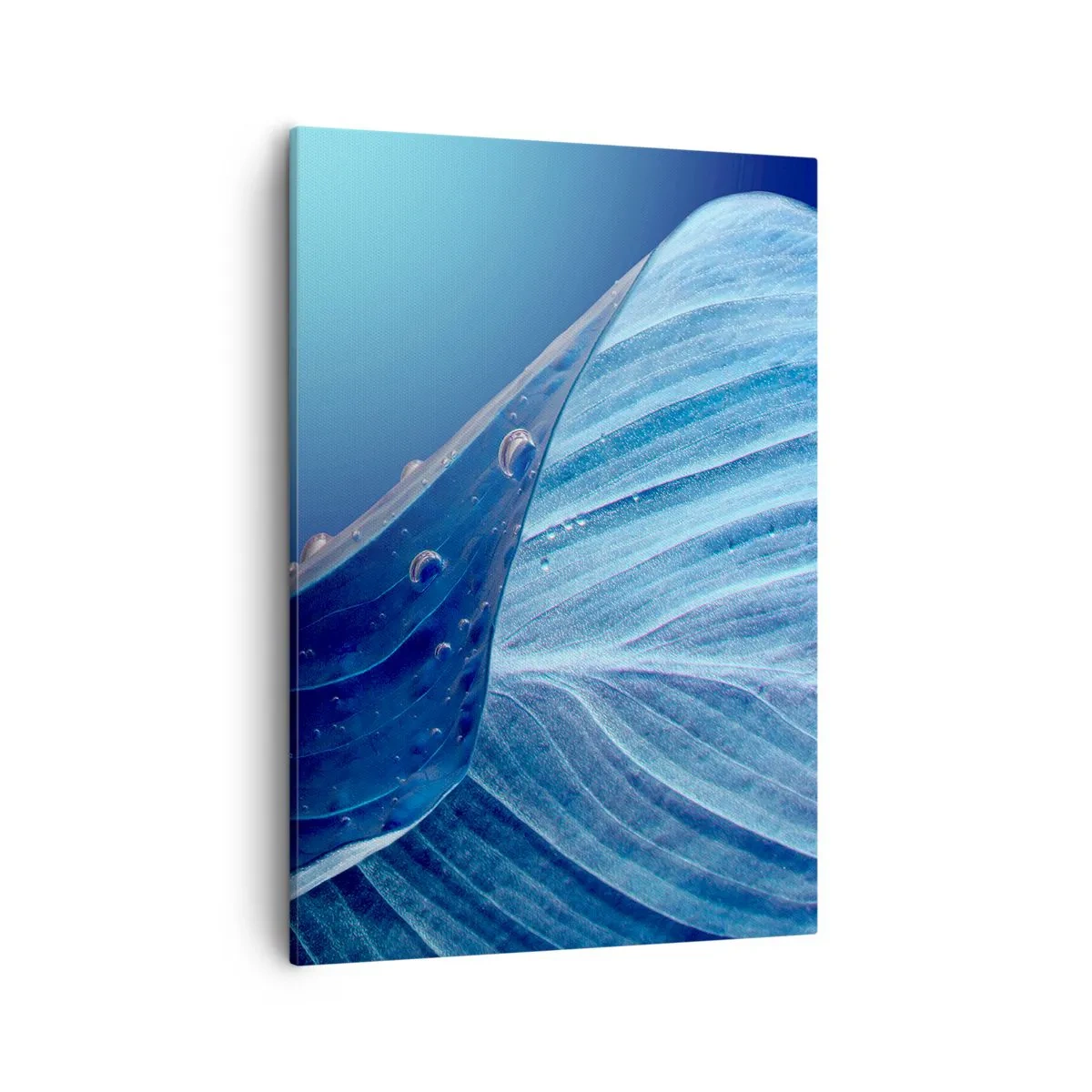 Bild auf Leinwand - Leinwandbild - Ein blaues Blatt mit sichtbaren Wassertropfen - 50x70cm - Versteckte Tropfen vom Blau - Moderne Wanddekoration für Wohnzimmer und Schlafzimmer ARTTOR