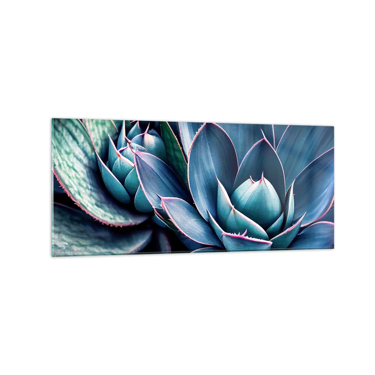 Glasbild - Bild auf glas - Agave in Blau- und Grüntönen mit rosa Akzenten - 120x50cm - Lebenskraft - Moderne Wanddekoration für Wohnzimmer und Schlafzimmer ARTTOR