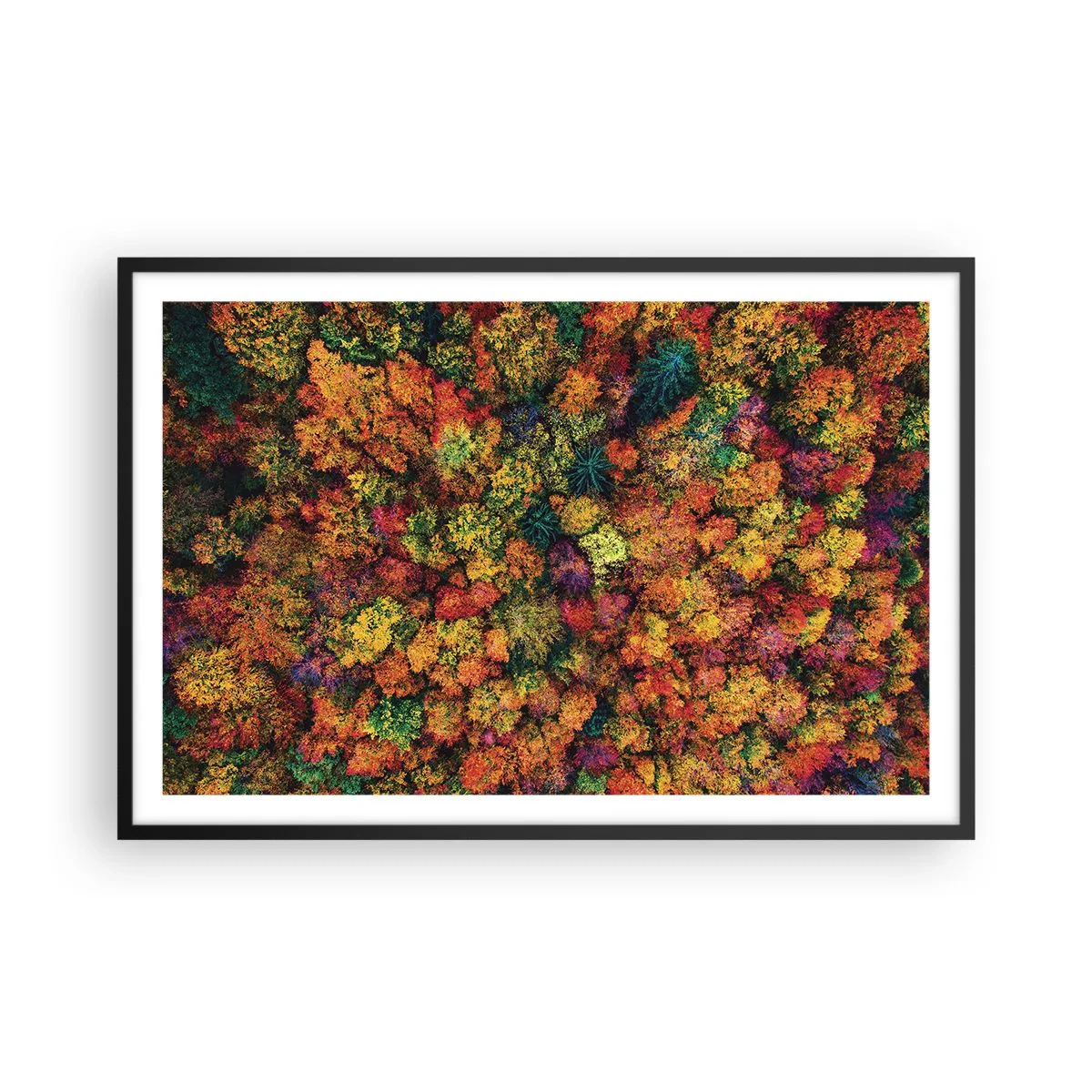 Poster in einem schwarzem Rahmen - Blumenstrauß aus Herbstbäumen - 91x61 cm