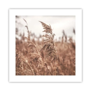 Poster - Auf den Feldern ist es schon Herbst - 40x40 cm