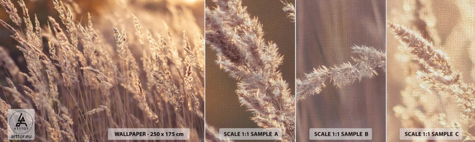 Fototapeten Muster Premium Canvas - Bereit, den Herbst willkommen zu heißen - Landschaft, Ähren, Wiese - 100x30 cm