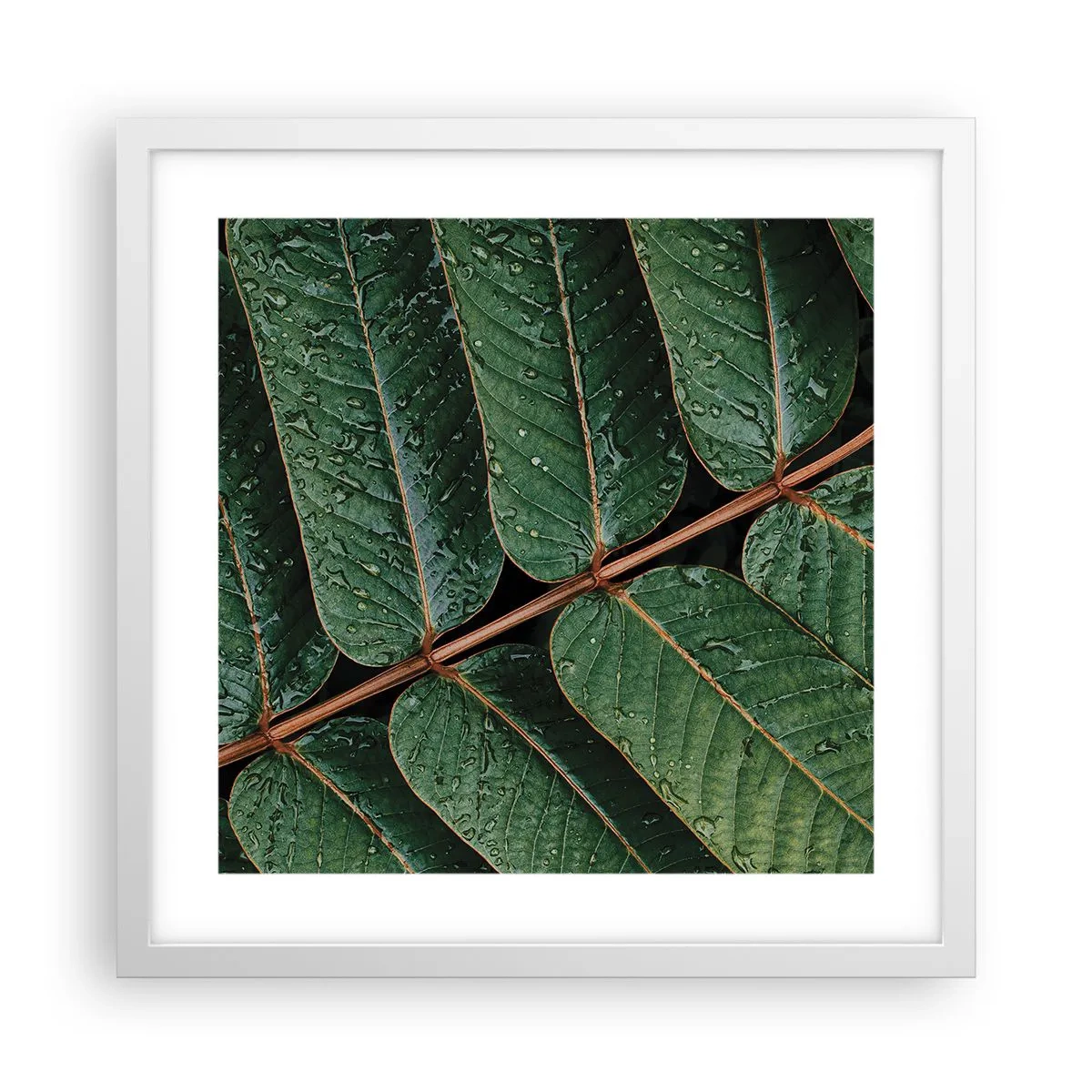 Poster in einem weißen Rahmen - Im grünen Rhythmus - 40x40 cm