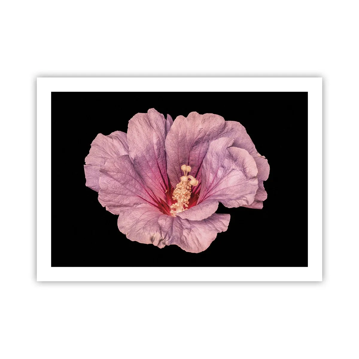 Poster - Direkt ins Herz - 70x50 cm