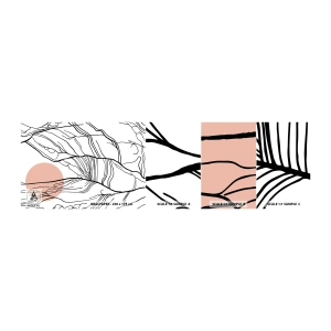 Fototapetenmuster Standard Eco - In einem Netz aus Zweigen - Abstraktion, Grafik, Design - 100x30 cm