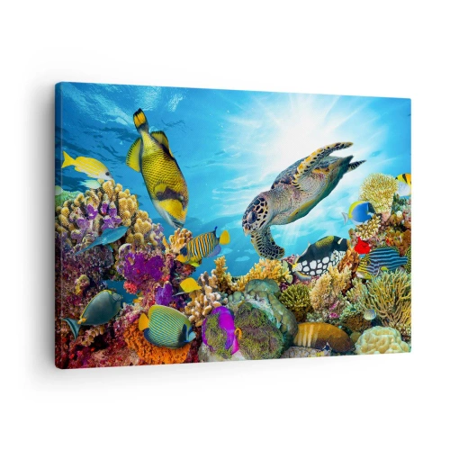 Bild auf Leinwand - Leinwandbild - Unterwasserwelt mit bunten Fischen und einer Schildkröte in den Korallen - 70x50cm - Korallenpromenade - Moderne Wanddekoration für Wohnzimmer und Schlafzimmer ARTTOR