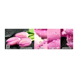 Fototapetenmuster Standard Eco - Liladrei auf schwarzem Stein - Blumen, Tulpen, Blumenstrauß - 100x30 cm
