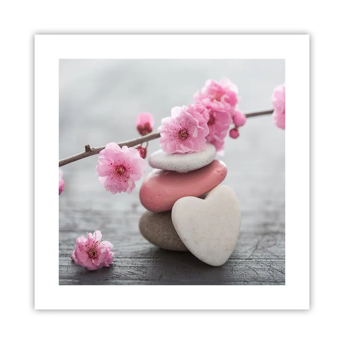 Poster - Glückseligkeit mit einer Kirschblüte - 40x40 cm