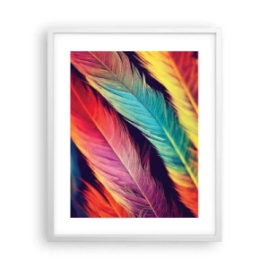Poster in einem weißen Rahmen - Gefiederter Regenbogen - 40x50 cm