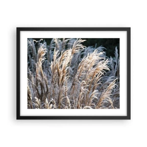 Poster in einem schwarzem Rahmen - Gekleidet mit Frost - 50x40 cm